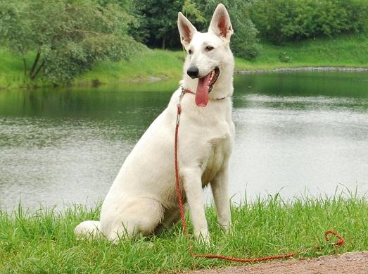 ��������� ������