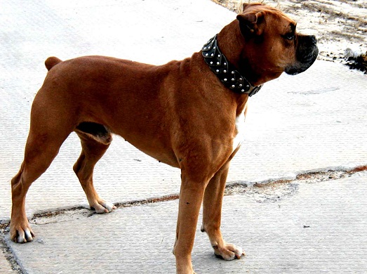 ������� ������