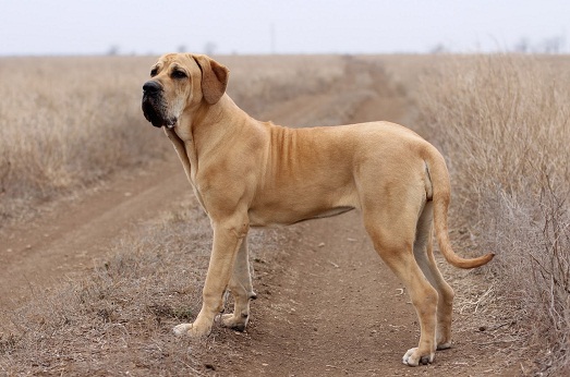 ������
�� ��������