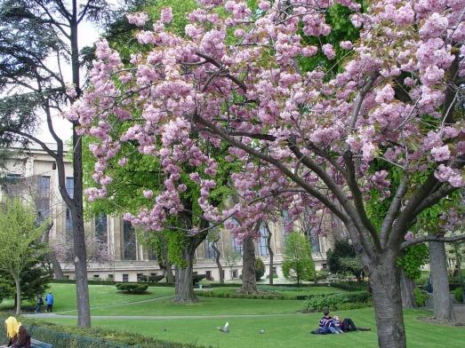 �������� ���� ������