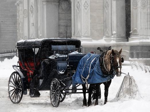 �������� ���� ������ ����