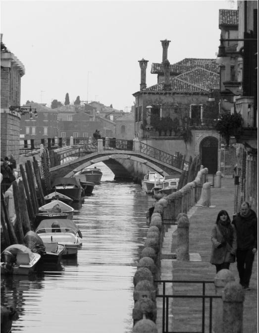 �������� ���� ������