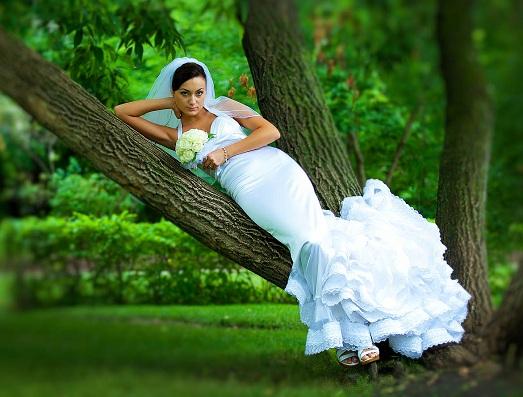 �������� ��������� ����������