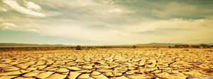  dry