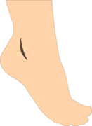 ������� foot